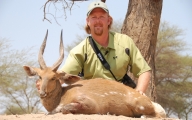 Chobe Bushbuck