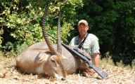 Waterbuck original