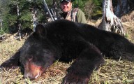 tim bear II