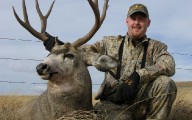 AB Mulie II