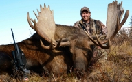 AK moose 1 copy