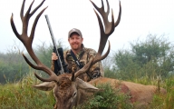 Stag red