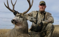 AB Mulie II