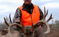 OK Buck beams